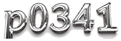 p0401 logo